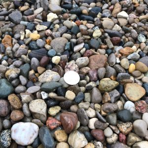 Rainbow River Gravel